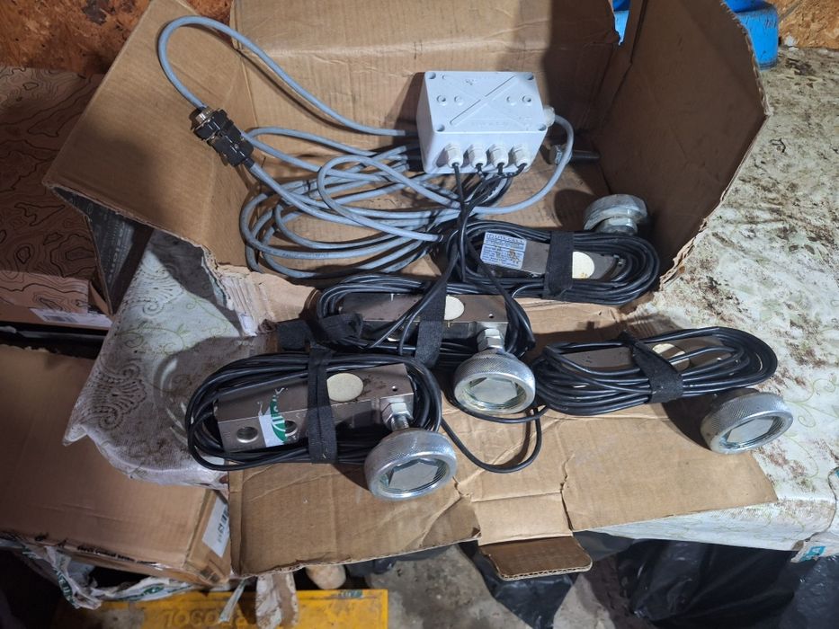 cantar de cantarit Animale