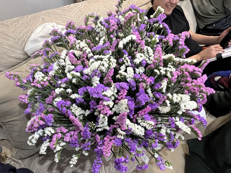 Цветы Статица в кашпо