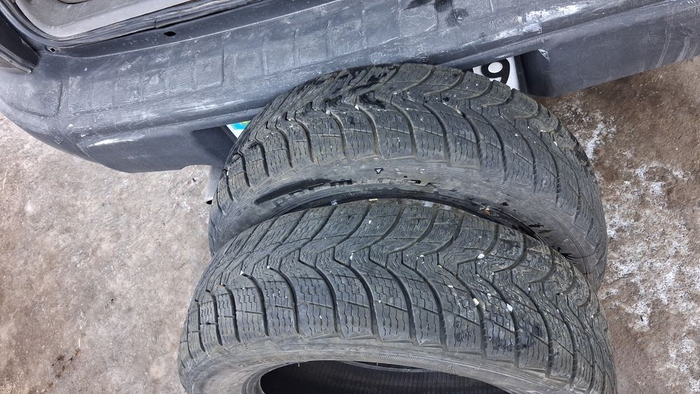 Екі ризина сатылады