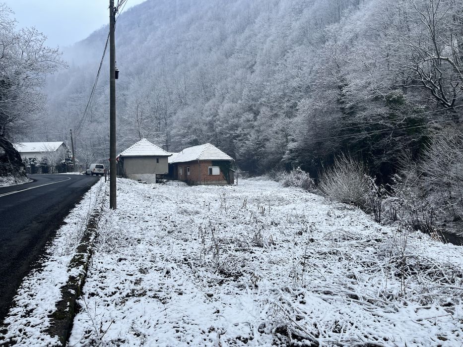 Vand teren in martinie