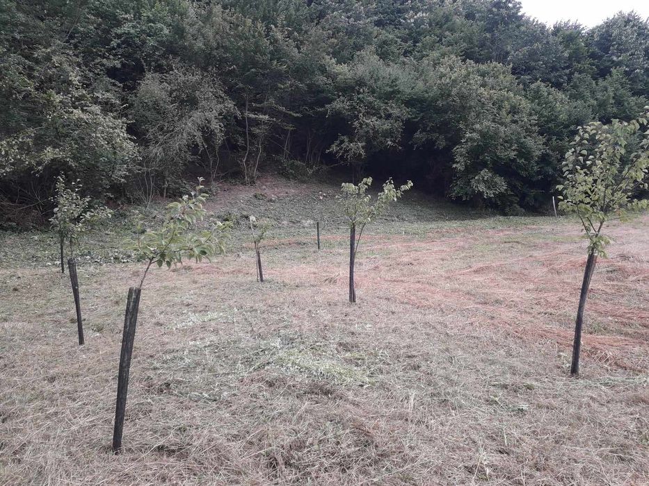 Vând teren intravilan 1200mp