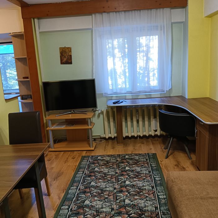 Apartament 1 camera