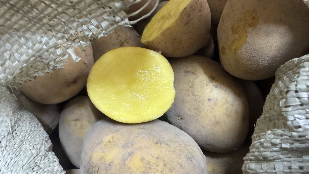 Картошка домашная с Есенгельди