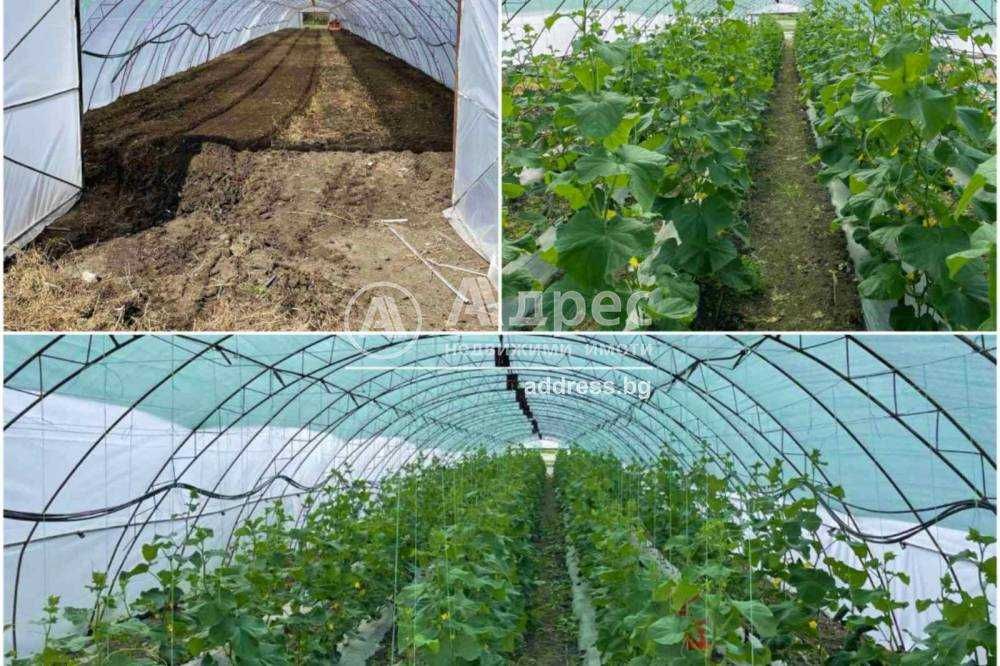 Продава се Земеделски имот в Разград, Център -  кв.м за 24000 €/дка - Снимка #3