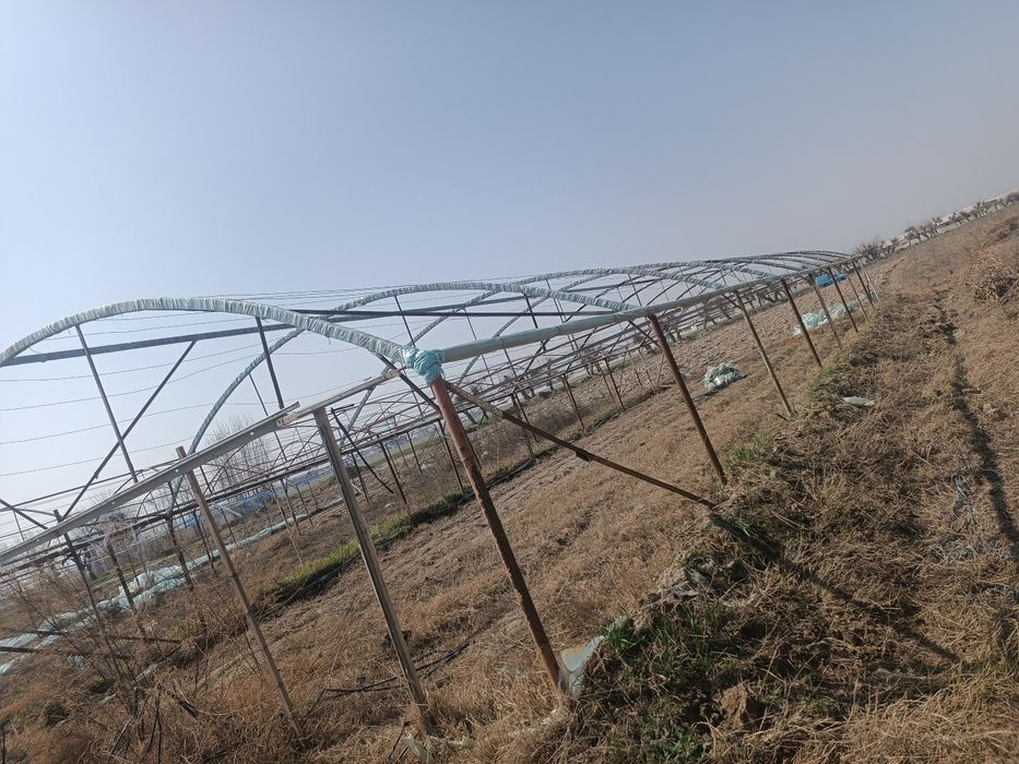 Issiqxona sotiladi faqat klyonkasi yuq boshqa xamma narsani bor