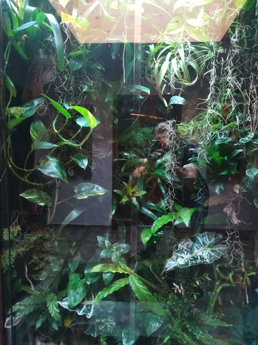 ПОДДРЪЖКА и ИЗРАБОТКА на аквариуми по поръчка