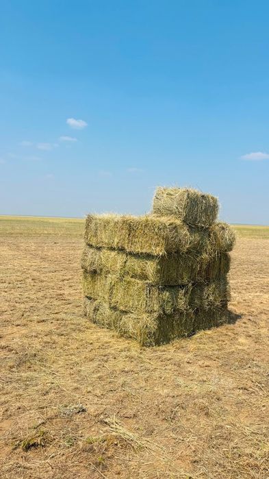 Продам сено тюковое