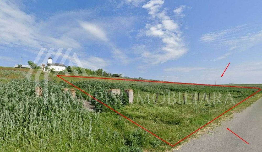 Teren intravilan 5.040 mp, parcelat 5 loturi, Tăriceni, jud. Călărași