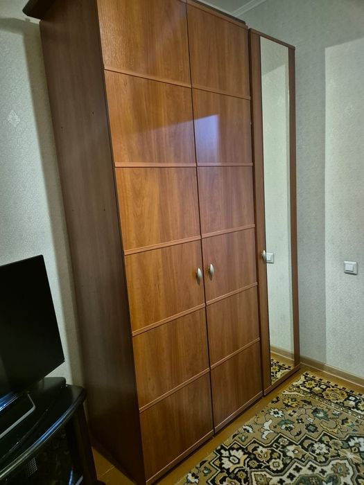 Шкаф платяной с зеркалом