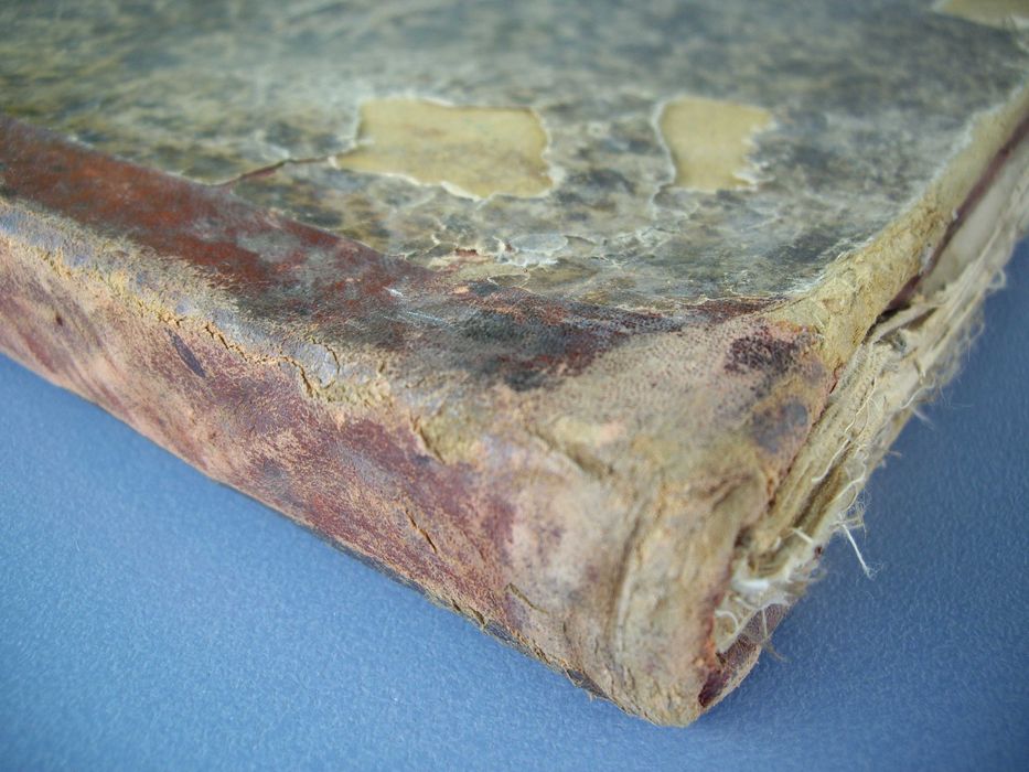 1881 Голям руски Анатомичен атлас