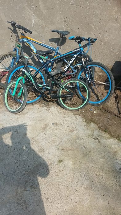 Велик сотилади нархи келшилган холатда пашти янги