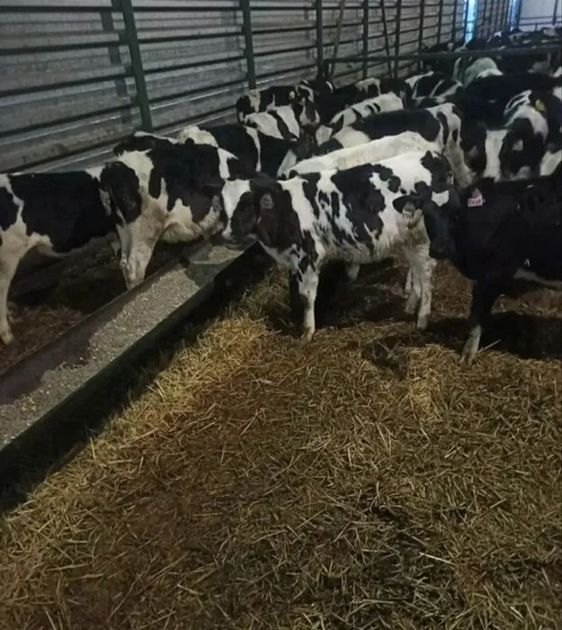 Саты лады  продаю,