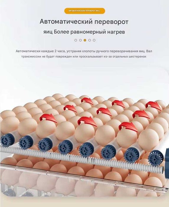 Инкубатор для яиц на 9/12/24/36/64/100/128/200, работает от 12В и 220В