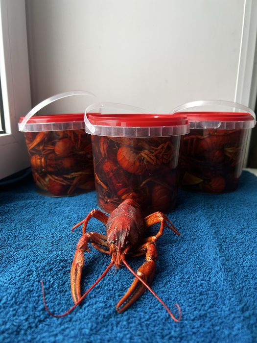 Продам рак ВАРЕНЫЙ