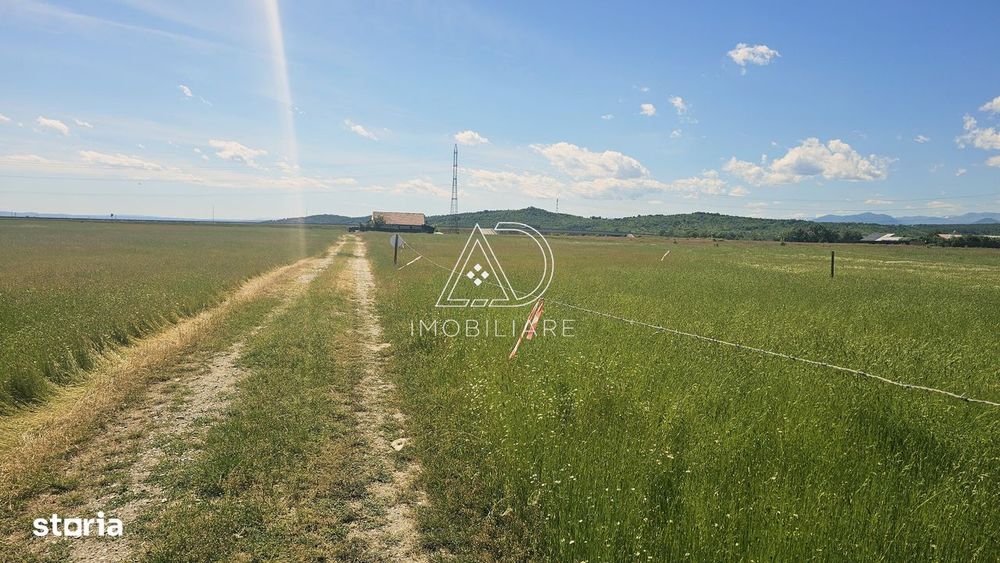 Terenuri de vânzare în Târgu Jiu – Oportunitate de investiție