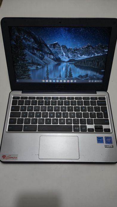 Laptop Asus Chromebook C202