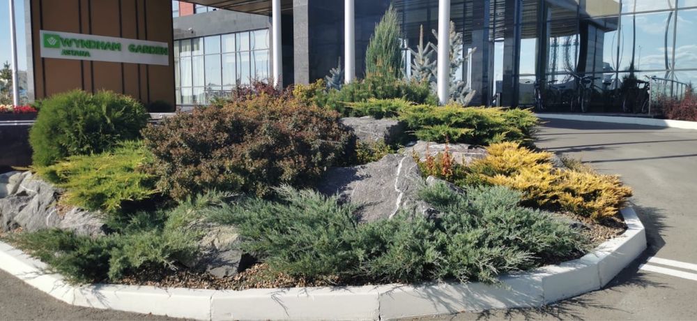 ОЗЕЛЕНЕНИЕ Профессионально