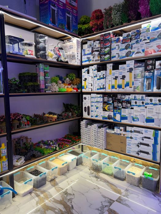 Akvarum va baliq magazin