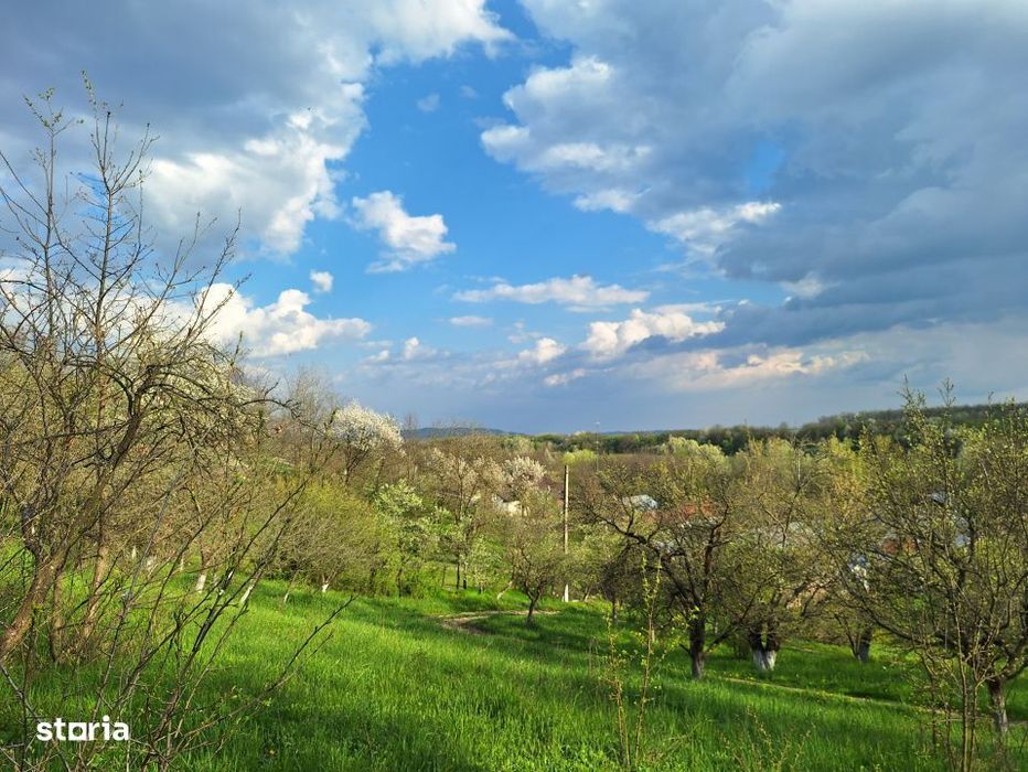 Mosia boiereasca din varf de deal, Scorteni - Prahova, comision 0%