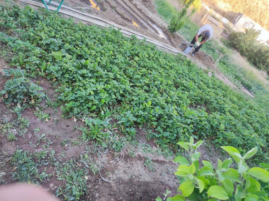 Срочно Продам Дача на Спутнике