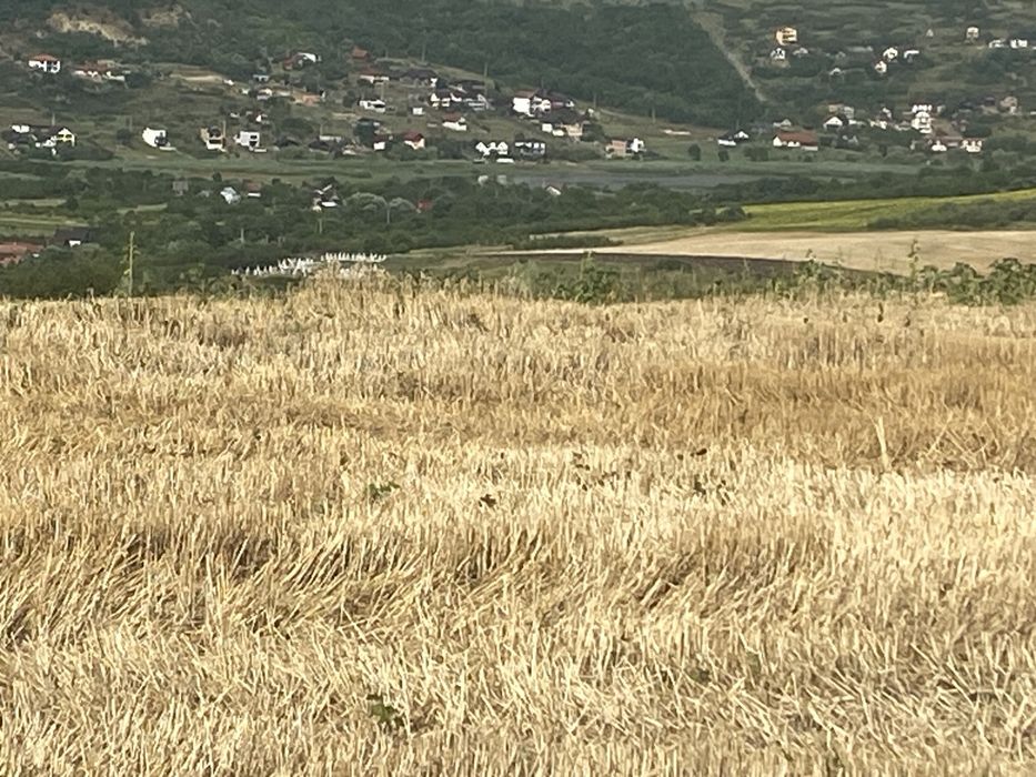 Vand teren extravilan 11600 m2In Cluj Campenesti