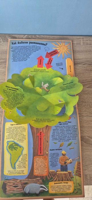 Енциклопедия на издателство Фют