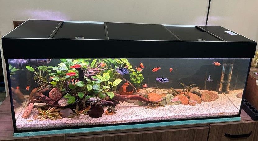 Капак за аквариум / изработка на капаци за аквариуми по размер