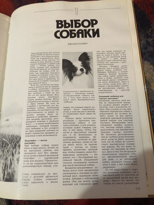 Ваша собака. Джоан Палмер