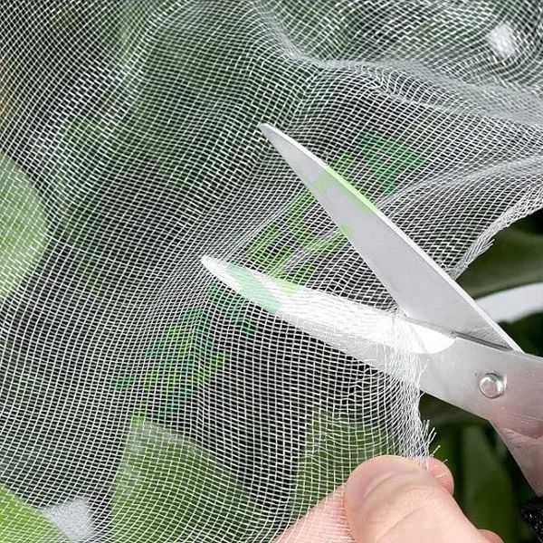 Plasa Anti-insecte