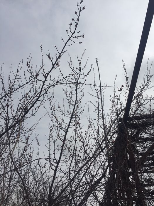 Устанока спутниковых и местного цифрового телевидения