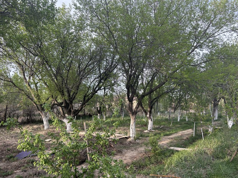 Дача сатылады Копэсте