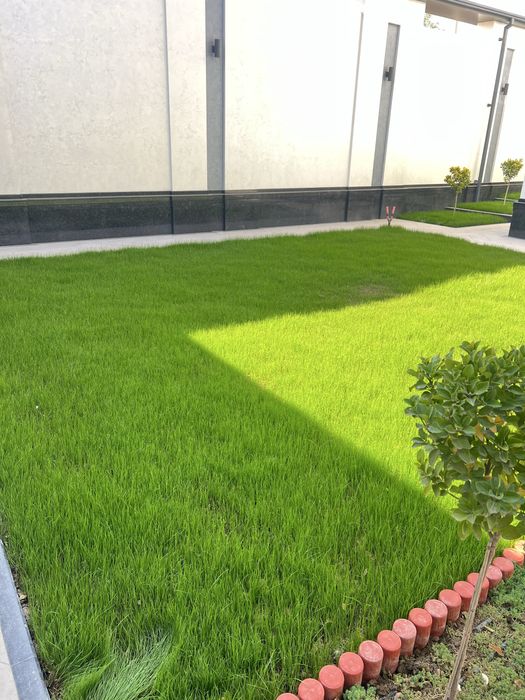 Gazo’n o’ptom cheklanmagan miqdorda