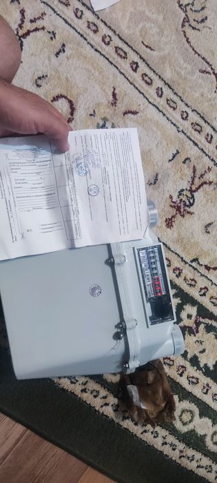 газовый счётчик G6