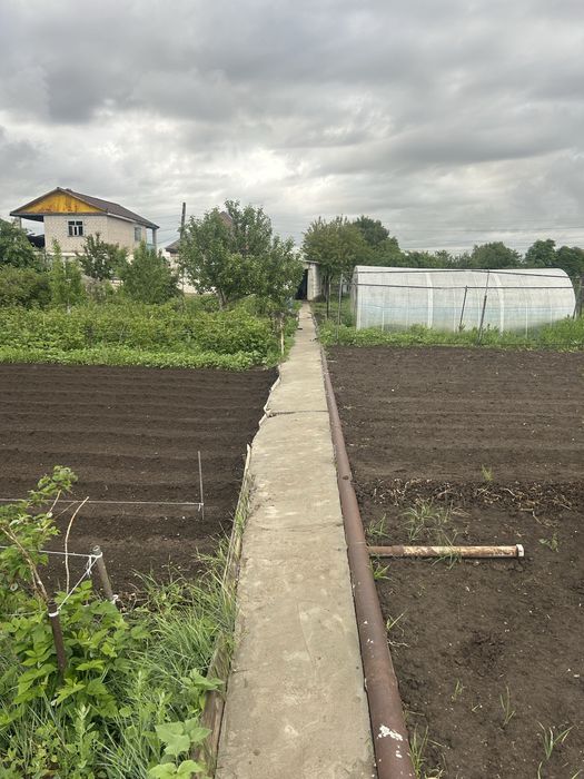 Продам дачный дом с участком