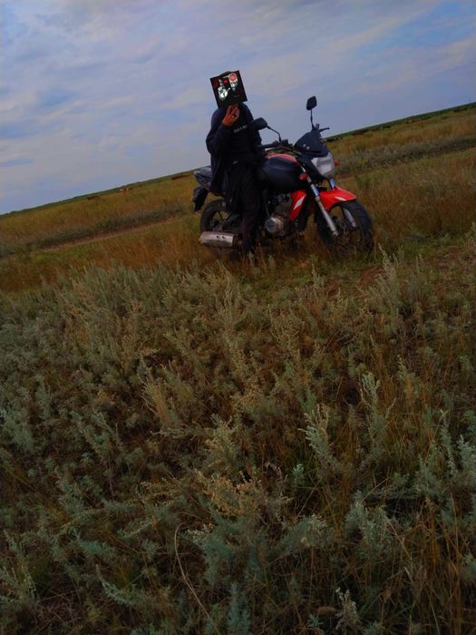 Продам рейсер нитро 250