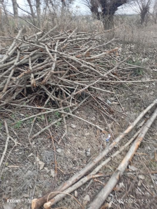 Oʻ'tin sotiladi kelish turib beramiz