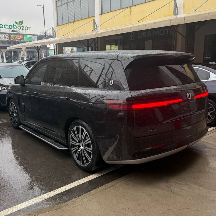 Denza n9 full pozotsiya