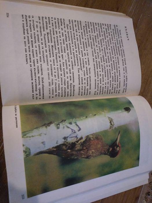 Енциклопедия за растения и животни