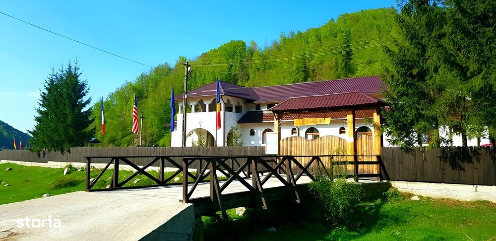 Pensiunea Sfanta Elena Berevoiesti