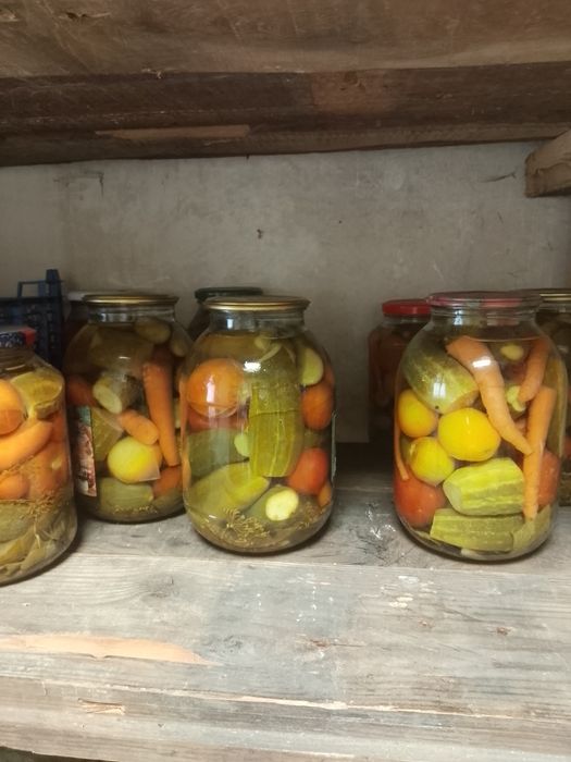 Соленья и кампоты