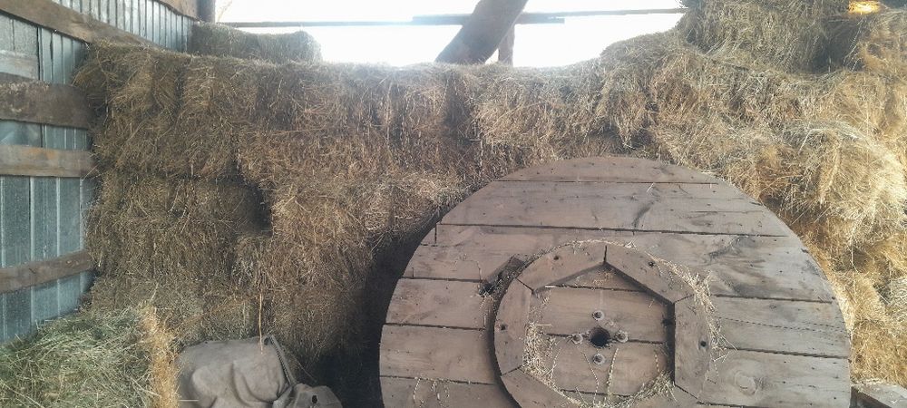 Шөп сатылады отын