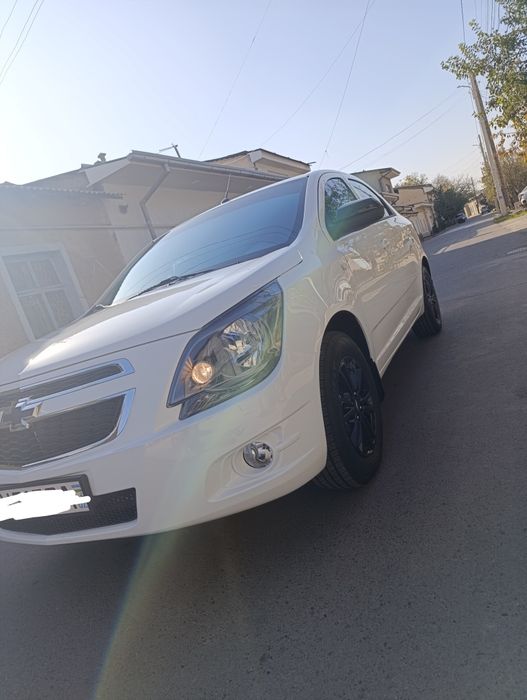 Cobalt Midnight AT 2025