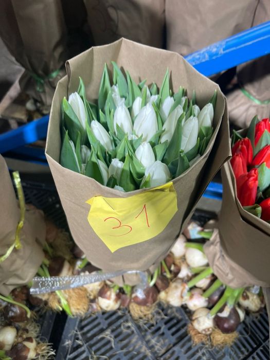 Оптом и в розницу от 360