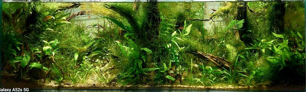 Аквариуми и терариуми