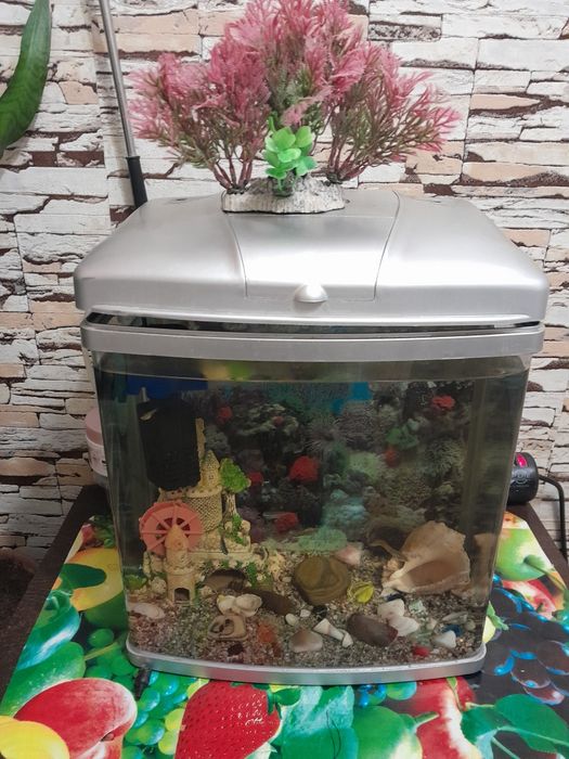 Аквариум продам с рыбками