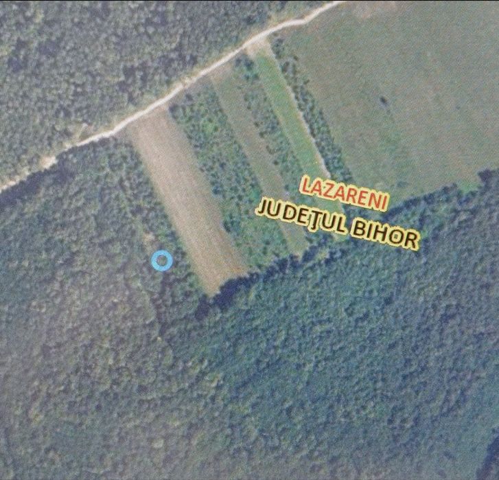 Teren extravilan 5.354 mp | Caranzei - Lăzăreni, Bihor | CF + Cadastru | Acces la drum