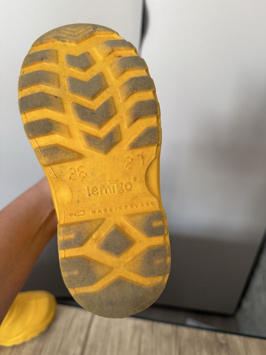 Сапоги детские резиновые Lemigo