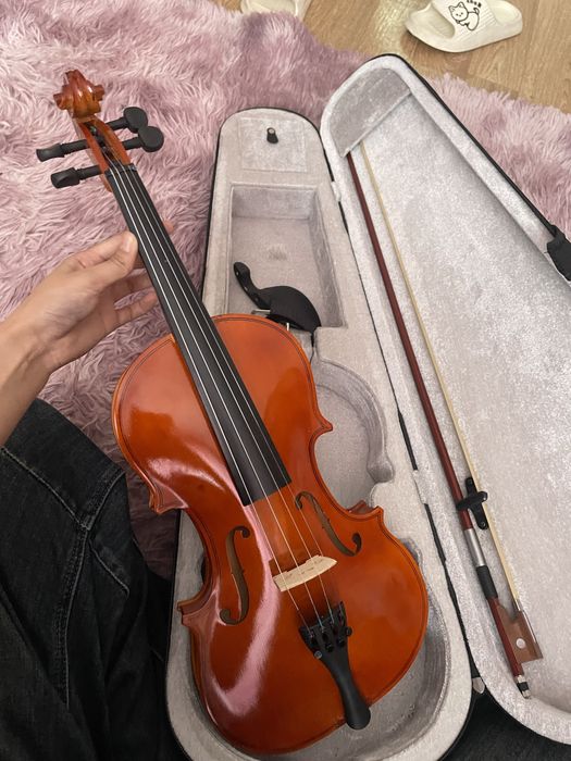 Скрипка (новый)1