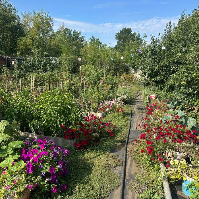 Продам дачу в городе Лисаковск