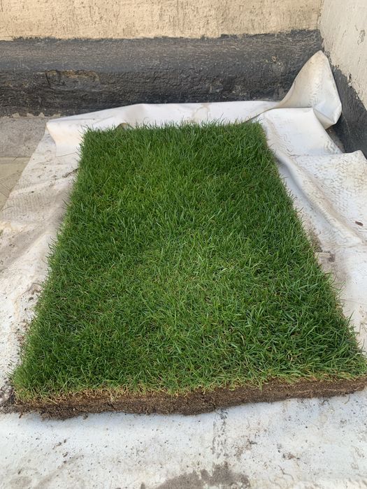 Газон озеленение